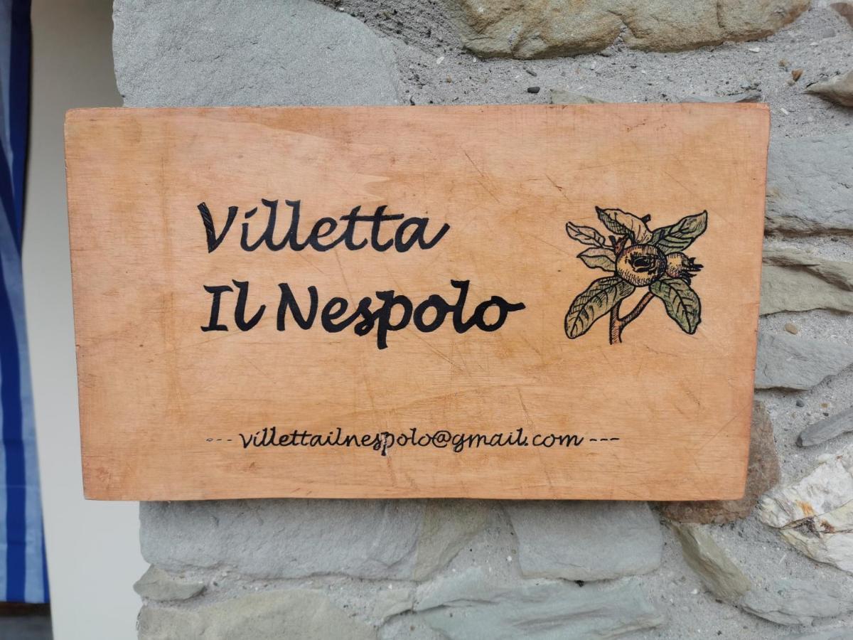Villetta Il Nespolo バルベリーノ・ディ・ムジェッロ エクステリア 写真